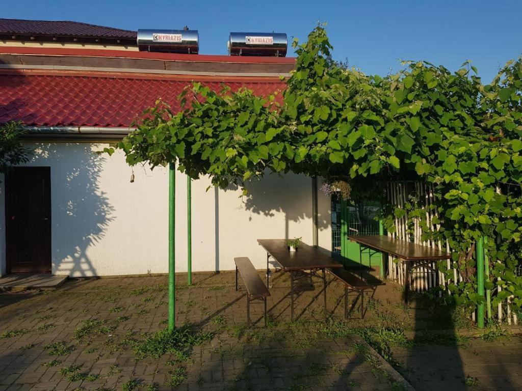 Vila Orizont ヴィーナス エクステリア 写真