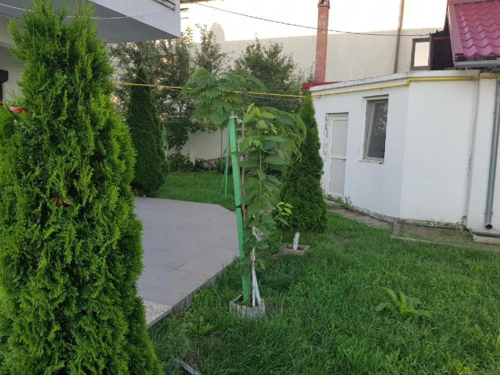 Vila Orizont ヴィーナス エクステリア 写真
